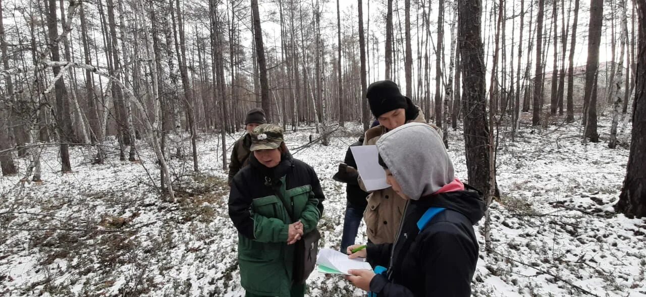 Лесное дело экзамены. Лесное дело специальность. Форма лесного дела. Лесное дело профессии. Лесное дело экзамены.