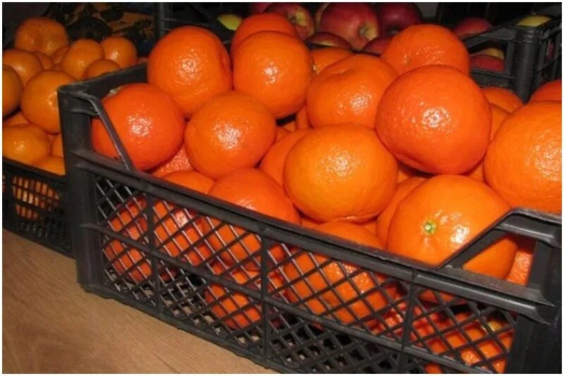 Сколько килограмм в ящике мандарин. Мандарин марокко ящик. Сколько килограмм в ящике мандарин. Ящик с мандаринами. Сорт сатсума абхазский мандарин.