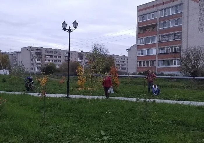 19 школа череповец. Огарковской школа вологда. Улица чехова 8 вологда. Школа 19 вологда. Школа 19 вологда.