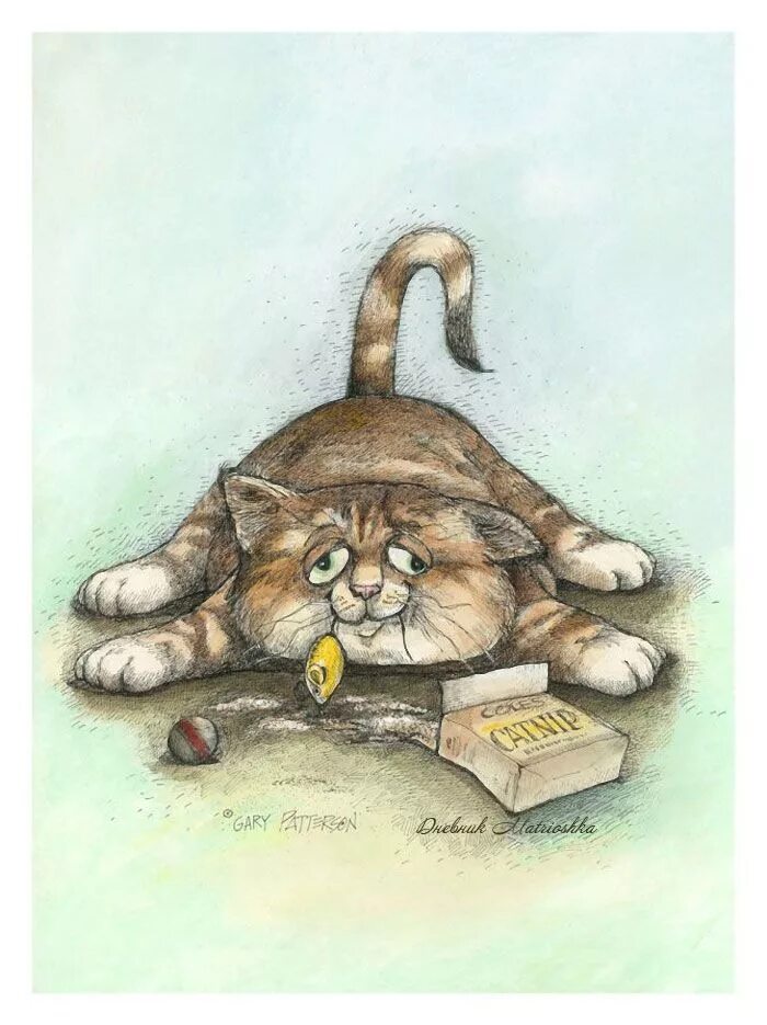 Смешные открытки с котом. Художник Гари Паттерсон. Забавные иллюстрации. Коты рисунки. Кошки Рисованные прикольные.