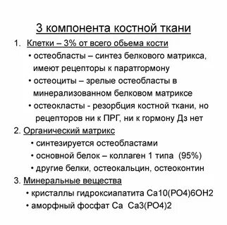 Костные компоненты