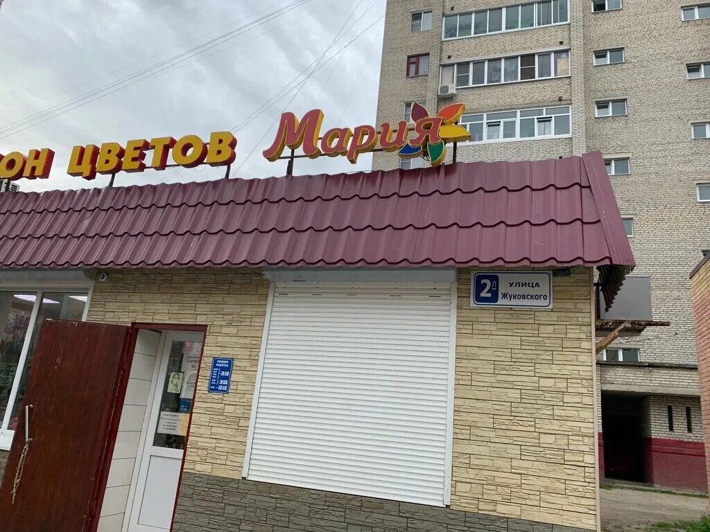 цветы луховицы. луховицы фестиваль цветов. луховицкая средняя общеобразовательная школа №1. мягкие игрушки в цветочном магазине. оптовая доставка цветов.