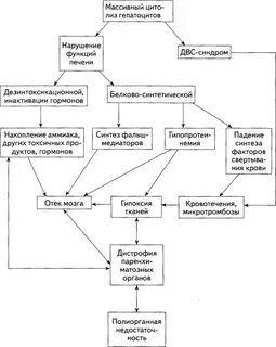 Печеночная кома патогенез