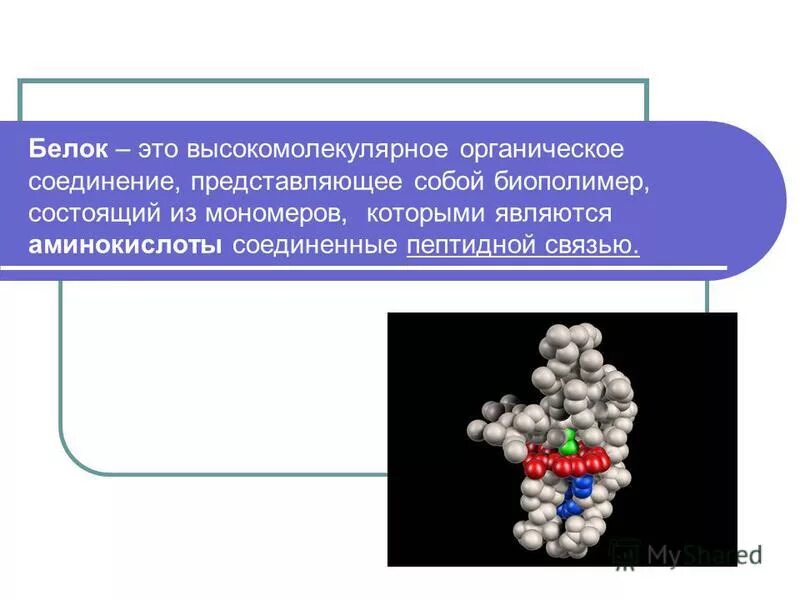 Белок высокомолекулярное соединение. Белки это высокомолекулярные соединения. Биополимеры строение и функции. Белок это биополимер органическое вещество.