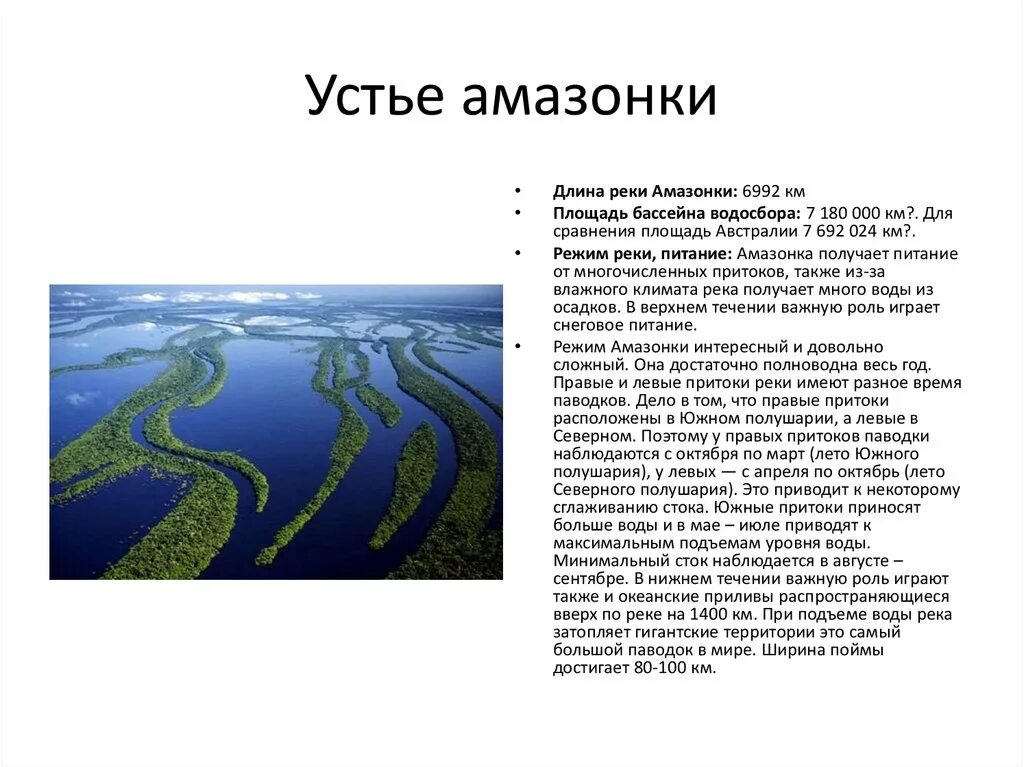 Исток реки Амазонка. Устье реки Амазонка. У истока амазонки. Река Амазонка материк Исток и Устье.