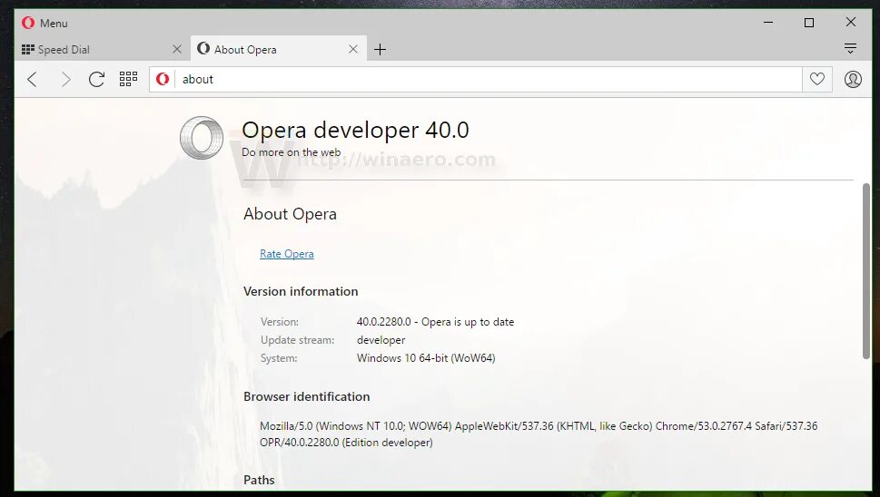 Opera start page. Браузер opera developer. opera developer. разработчик в opera. рендеринг страницы в браузере.