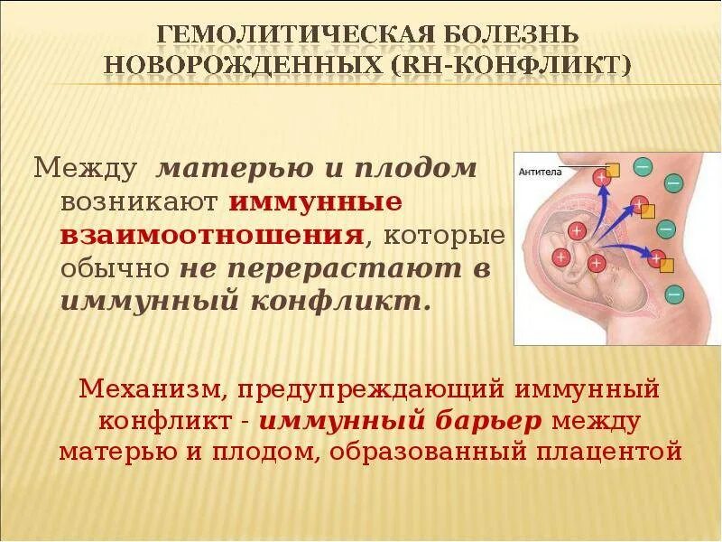 Кровь несовместимость резусов. Гемолитическая болезнь новорожденных резус фактор. Гемолитическая болезнь плода иммунология. Механизм развития гемолитической болезни новорожденных. Резус Изоиммунизация.