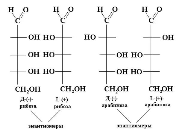 Строение рибозы. Эпимер арабинозы. Рибоза схема. 2-Дезокси-d-рибоза. Рибоза структура.