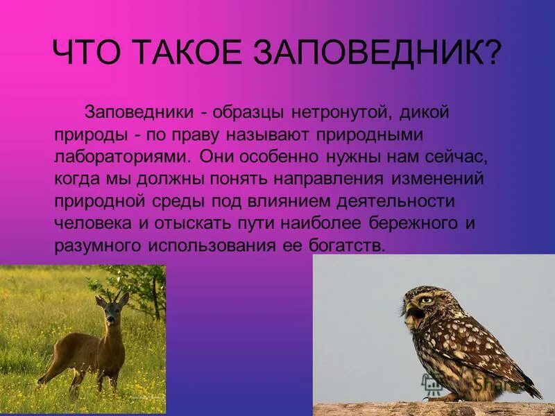 Выберите этот заповедник. Заповедник. примеры заповедников. заповедник это определение. что такое заповедник образцы.
