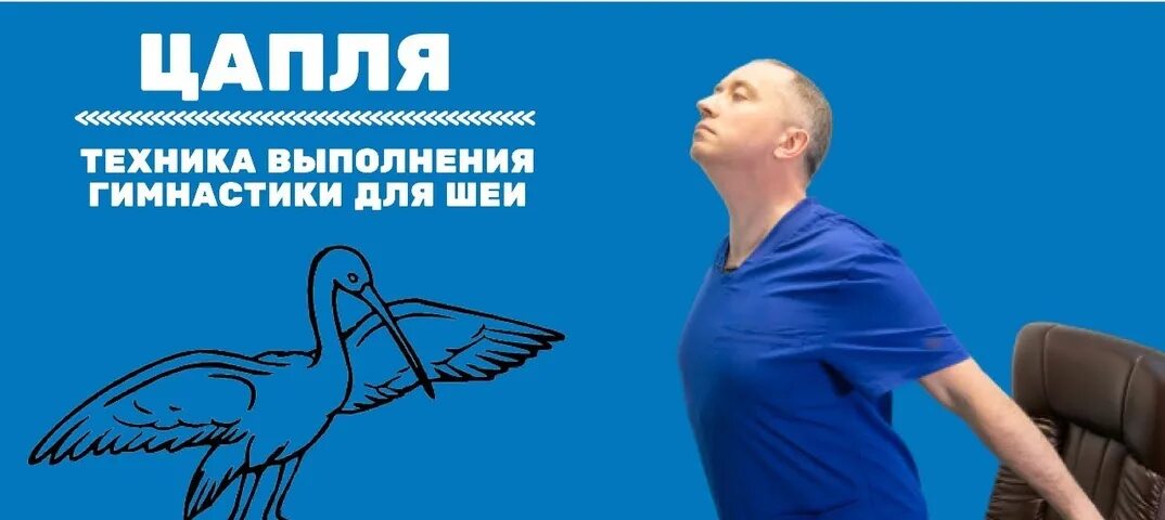 Техника выполнения упражнения шишонина. Упражнения для шеи доктора Шишонина. Техника выполнения упражнений для шеи доктора Шишонина. Упражнение цапля. Гимнастика на шею цапля.