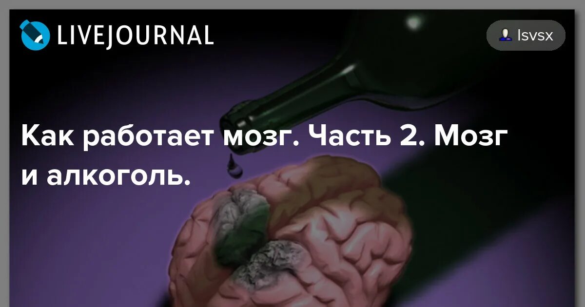 Почему не работает мозги
