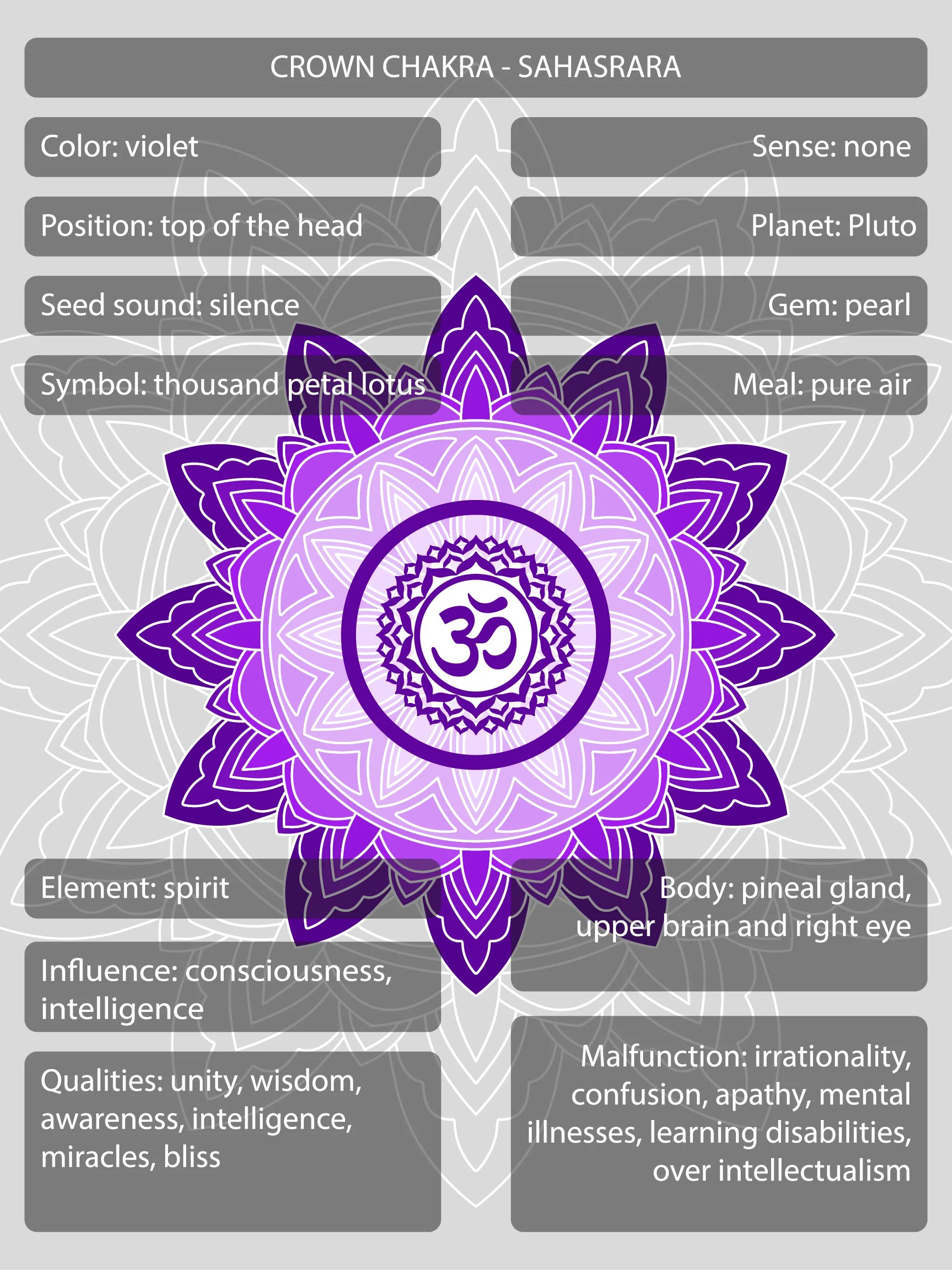 Сахасрара описание. Аджна сахасрара. Основные чакры вид спереди. Сахасрара за что отвечает у женщин. Коронная чакра (сахасрара) описание.