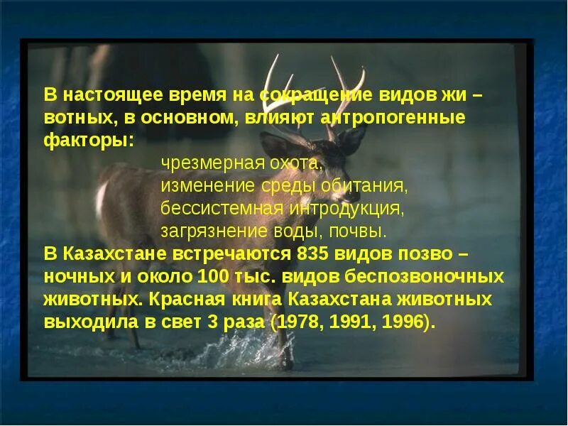 Животный мир проблемы использования