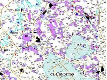Карта кустов