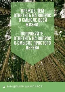 Дерево смыслов