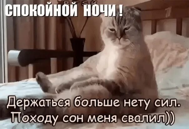 Нету сил терпеть