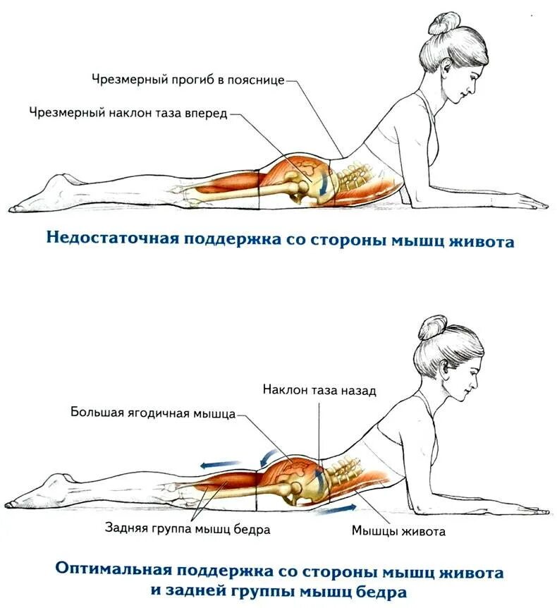 В каком суставе отсутствует разгибание. Разгибание позвоночника лежа на животе упражнения. упражнения на спину. упражнения лежа на спине. упражнения для осанки.