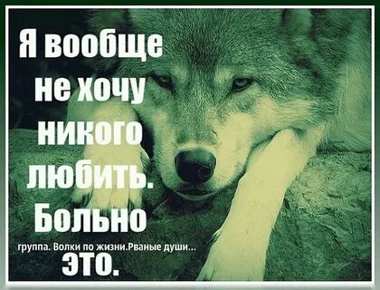 Никто не одинок