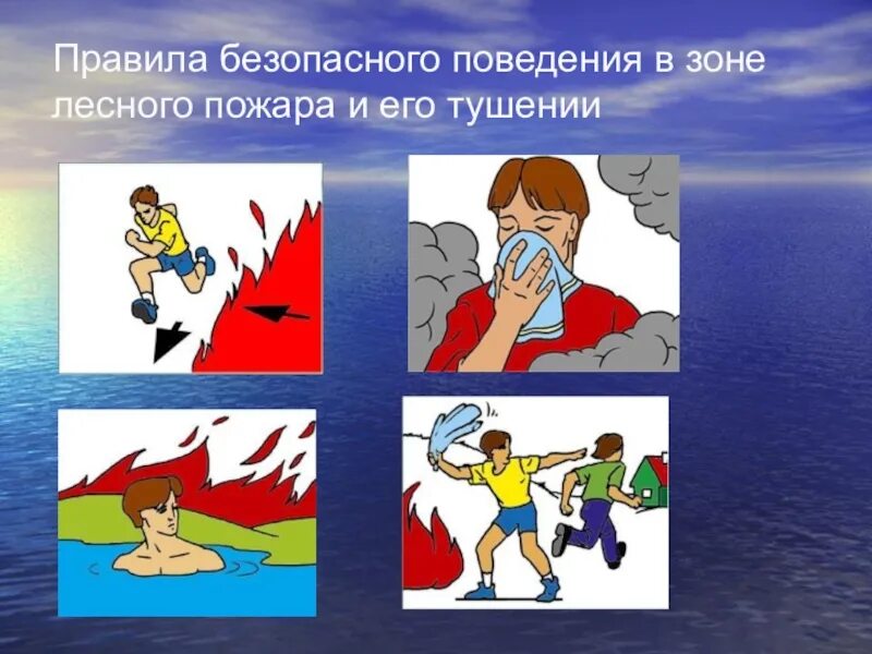 Что делать в зоне пожара. Правила безопасного поведения в зоне лесного пожара. эвакуация из зоны лесного пожара. безопасные зоны при лесном пожаре. действия человека оказавшегося в зоне лесного пожара.