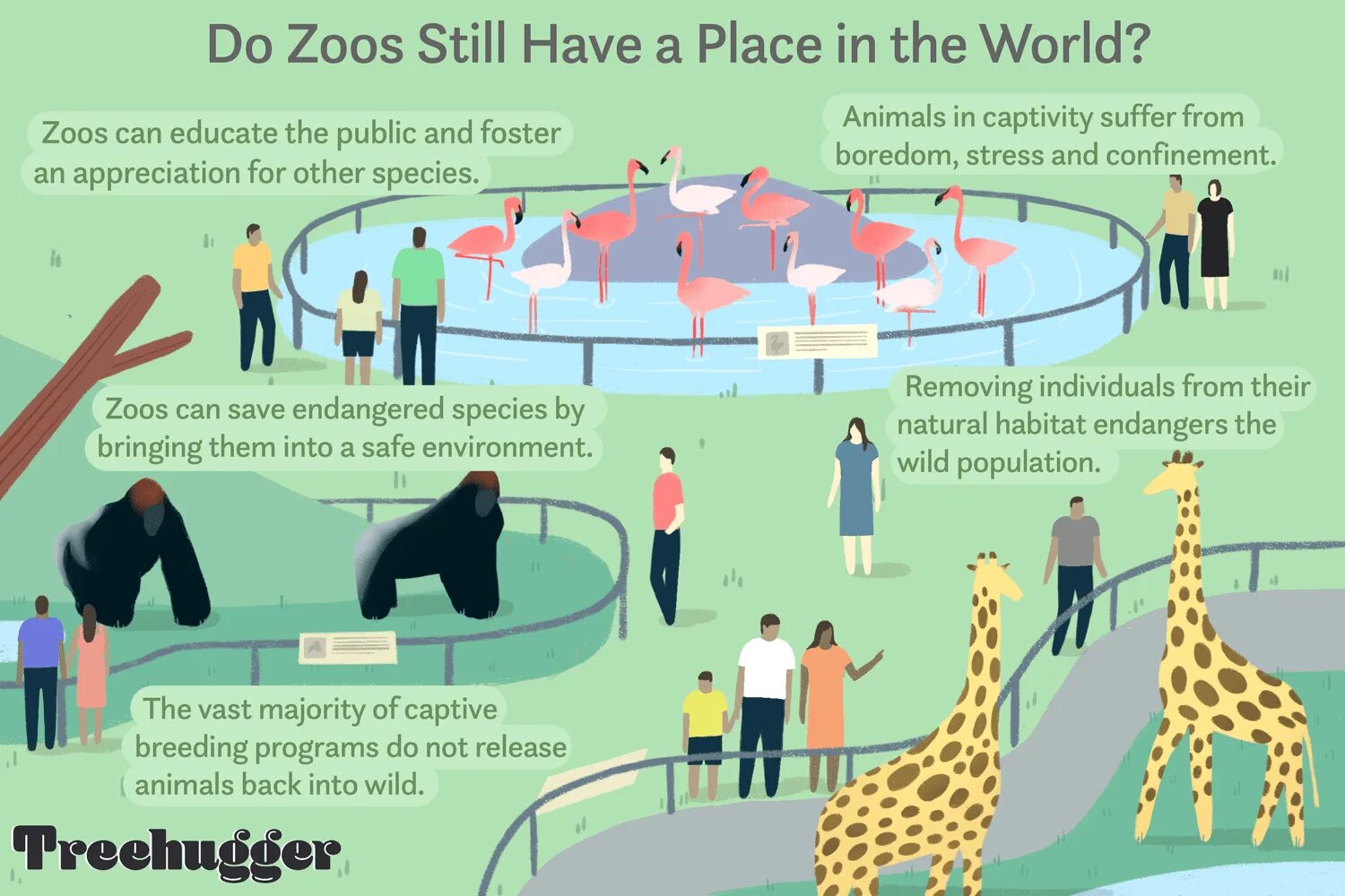 Zoos for and against. Аргументы за и против зоопарков. Аргументы в пользу зоопарка. Zoos Pros and cons.