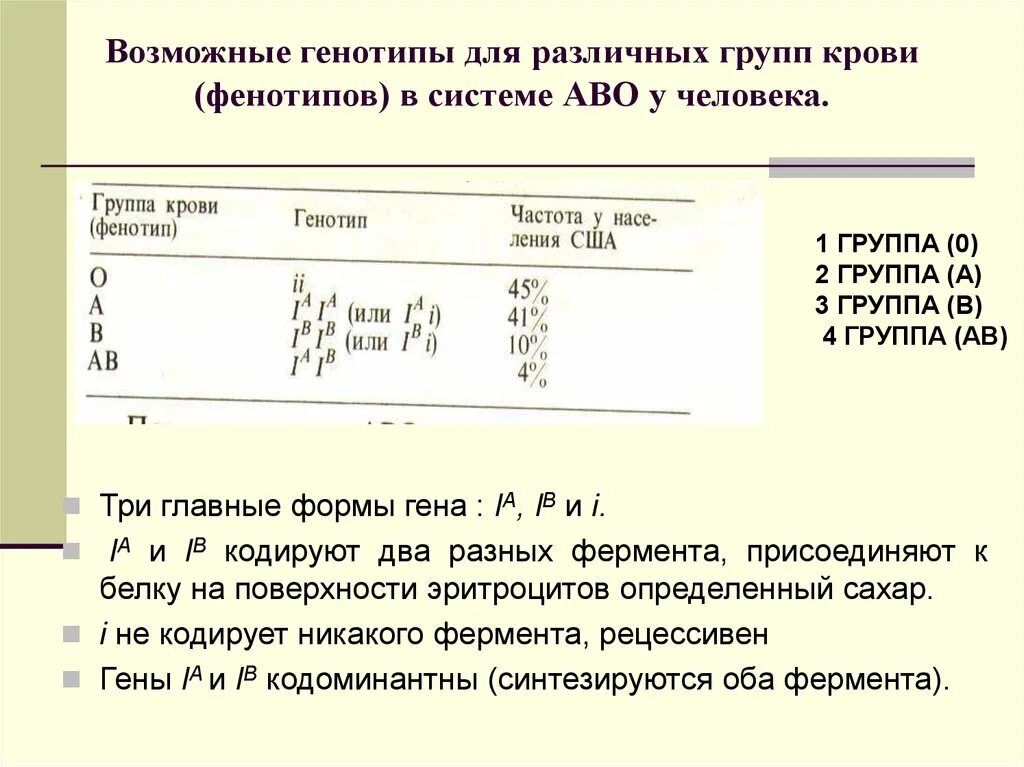 Генотип четвертой группы крови. Возможные генотипы групп крови. Генотипы различных групп крови у человека. Гены 1 группы крови. Возможные генотипы людей по группам крови системы АВО..