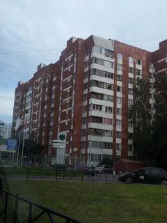 Королева 33 спб