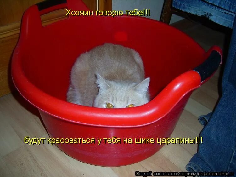 хозяин говорящей