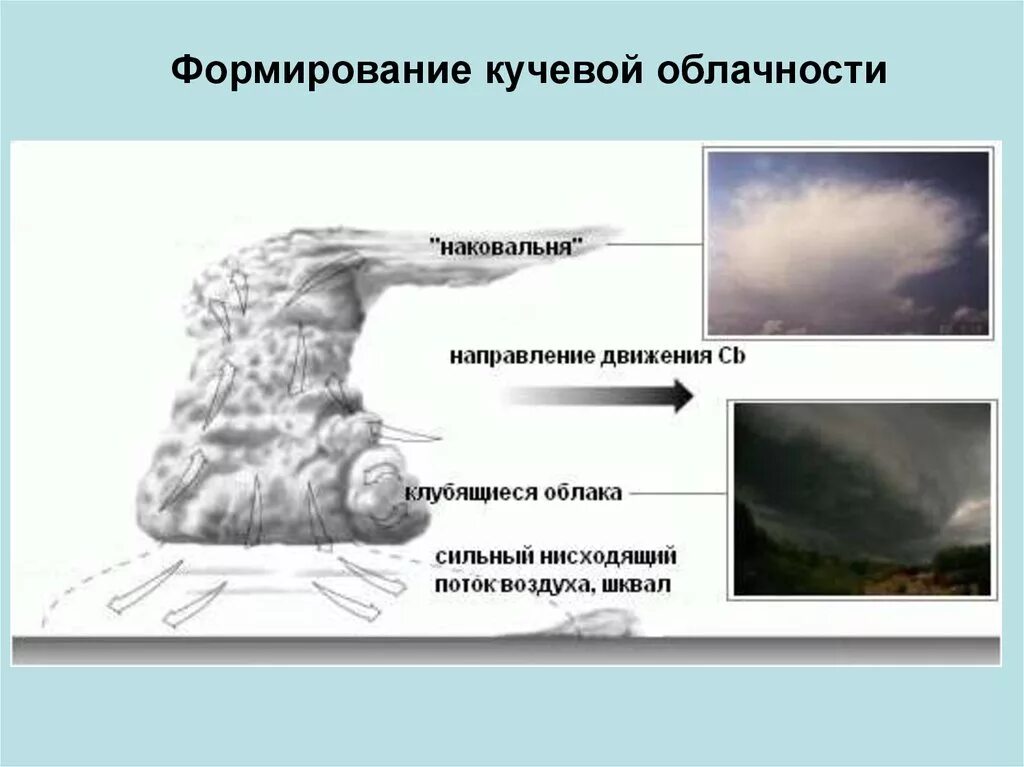 Явление которое образуется в кучево дождевых облаках. Схема образования облаков. облака наковальни грозовые. кучево дождевые облака с наковальней. структура грозового облака.