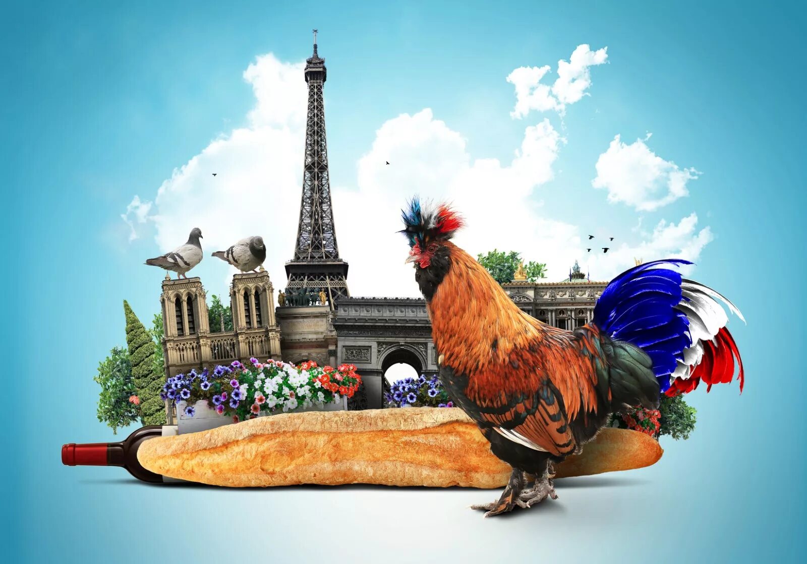 Галльский петух Франции. Галльский петух символ Франции. Le coq символ Франции. Петух национальный символ Франции.