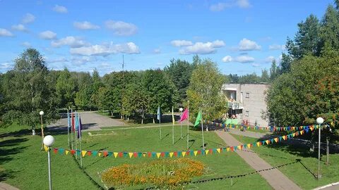 Дол березовая роща