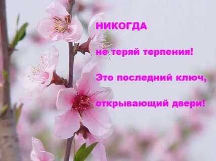 Желаю много сил и терпения