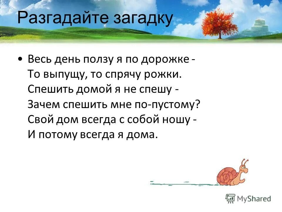 сеюсь как из сита но не порошок. жито. заползаю в жито но не червячок ответ. синтаксический разбор предложения схема. сеюсь как из сита но не порошок заползаю в жито но не червячок ответ.