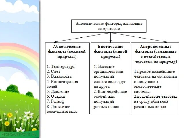 Биология абиотические факторы таблица. Схема экологические факторы среды. Абиотические факторы среды 5 класс биология. Абиотические и биотические факторы таблица. Абиотические факторы среды схема.