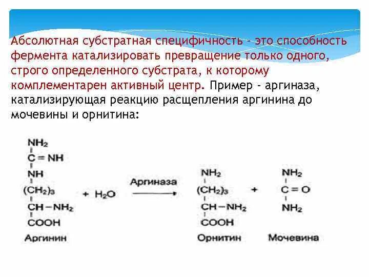 Групповая специфичность. Абсолютная Субстратная специфичность. Ферментативные реакции примеры. Ферментативный катализ примеры. Абсолютная Субстратная специфичность фермента.