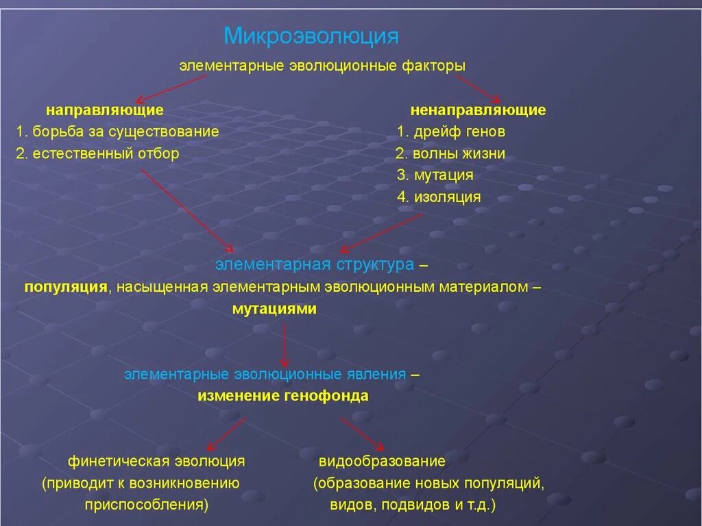 Эволюционными факторами являются