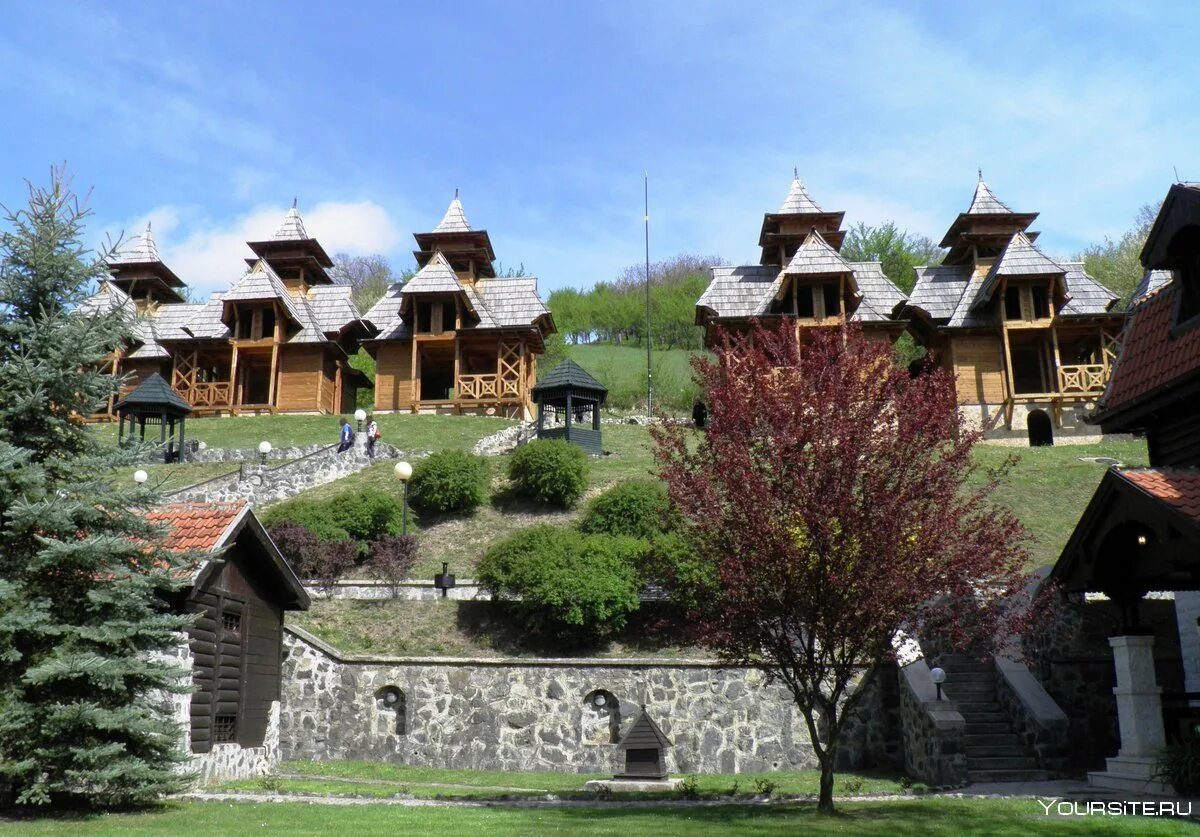 Мокра липка