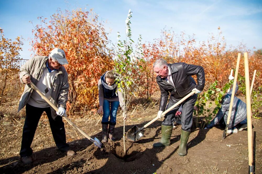 субботники в ботаническом саду мгу. работа в саду в оренбурге. ботанический сад огу адрес. директор ботанического сада. ботанический сад огу оренбург.