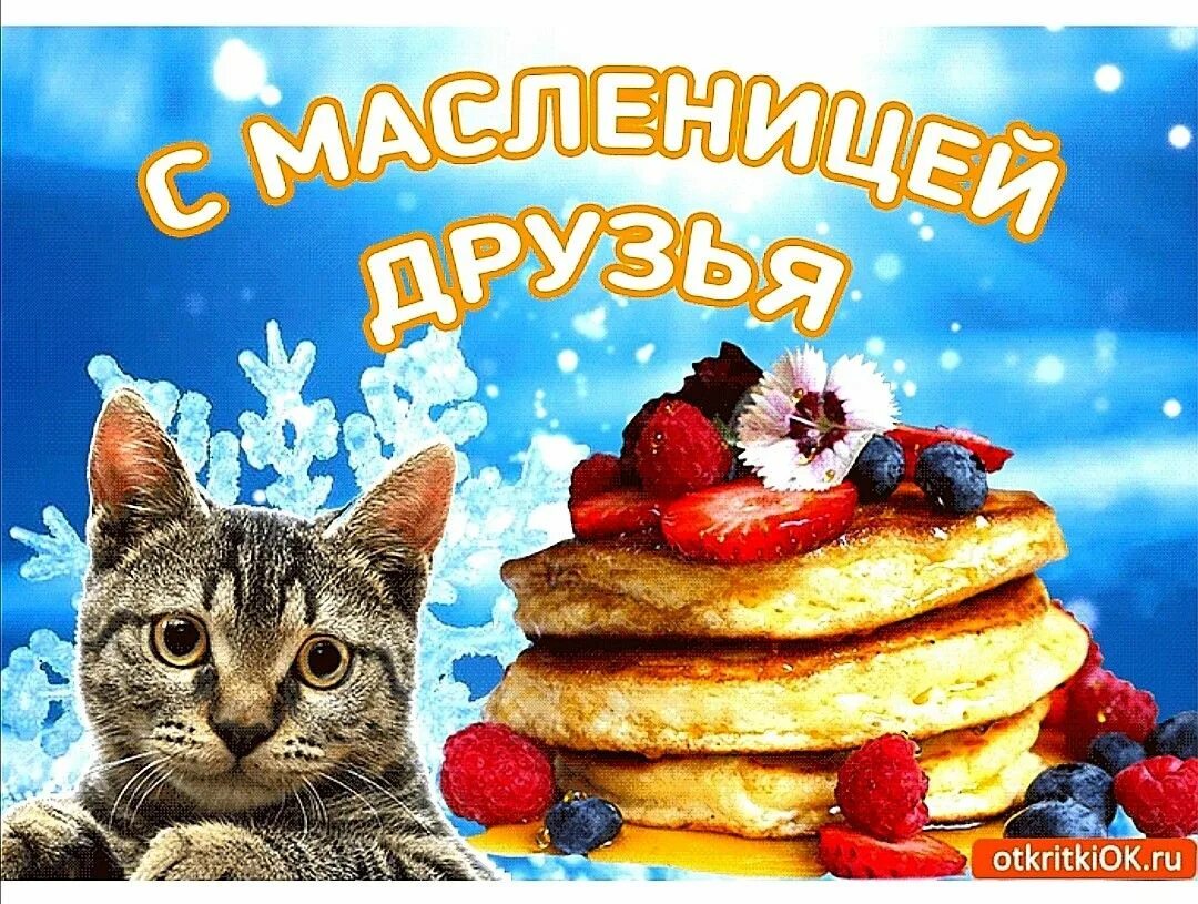Масленица открытки с котом. Масленица. Открытки с Масленицей. Открытки с Масленицей 2021. С Масленицей поздравления.