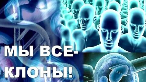 Канал истины