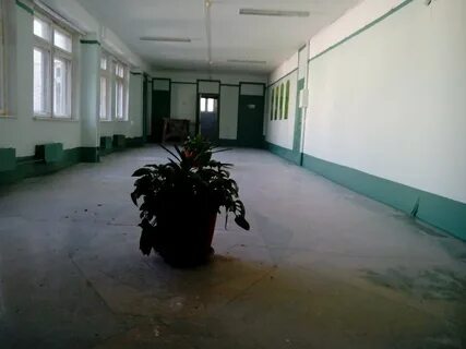 Политехническая гимназия нижний тагил