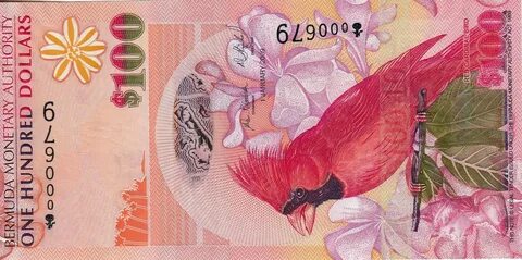 2009 100