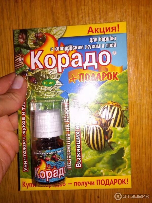 Самая эффективная отрава от колорадского. Средство от колорадского жука корадо. колорадский жук средства борьбы. отрава от колорадского жука самая эффективная.