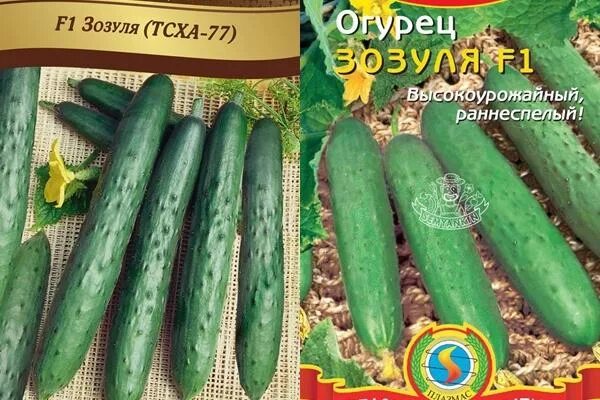 Можно ли солить зозули на зиму