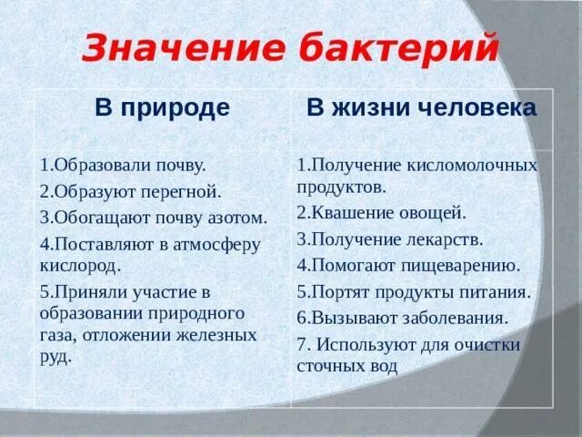 Заполните таблицу значение бактерий в природе. Значение бактерий в природе и жизни человека. значение бактерий в природе схема. роль бактерий в природе. значение и роль бактерий в природе.
