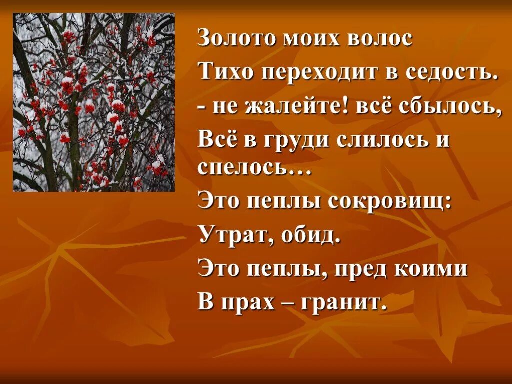 Рябину рубили цветаева. Стих цветаевой красной рябиной анализ. Рябину рубили зорькою цветаева. Рубили рябину зорькою стихотворение. Анализ стихотворения рябину рубили зорькою цветаева.