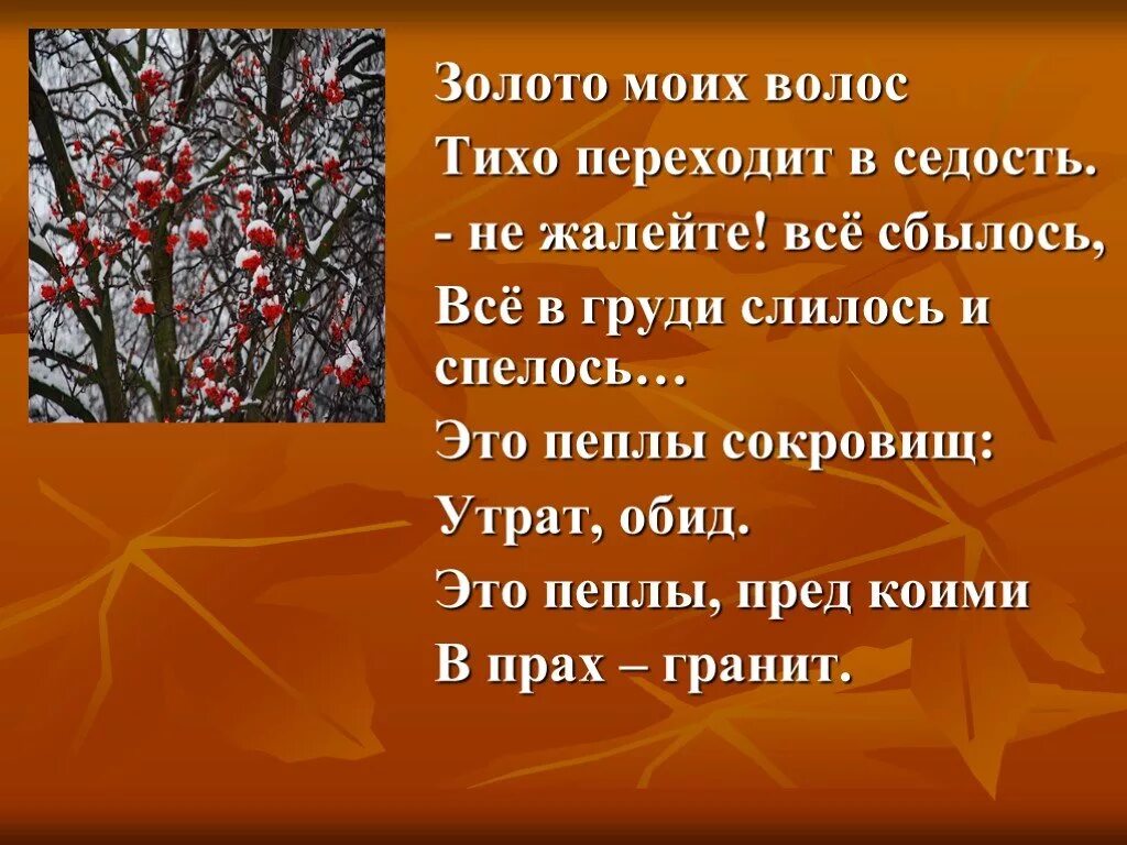 Рябину рубили.... Рябину рубили стих. Стих Марины Цветаевой золото моих волос. Рябину рубили Цветаева. Стихотворение цветаевой рябину рубили