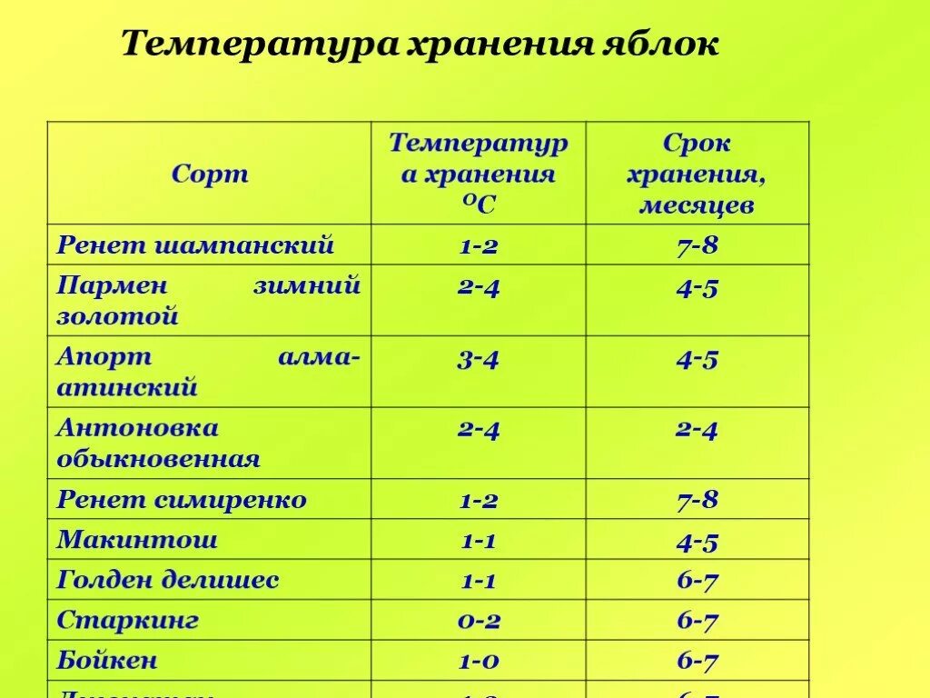 Хранение овощей нормы. Хранение яблок температурный режим. При какой температуре хранятся яблоки. Срок хранения яблок. Температура и влажность хранения яблок.