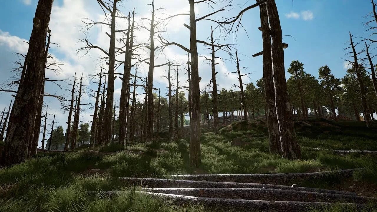 Pubg mobile 2.0. Эрангель пубг. эрангель пубг мобайл. сосновка эрангель 2.0. фон эрангель пабг мобайл.