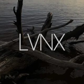 Lvnx background