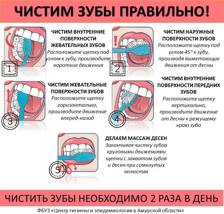 Правила как правильно чистить зубы. Памятка как чистить зубы. Схема чистки зубов. Как правильно чисть зубы. Правила чистки зубов для детей.